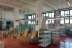 #19074 Proprietà superficiaria di porzione di opificio