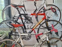 10#10154 Quattro Mountain bike