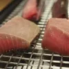 Quota del 50% o del100%lavorazione di salumi di pesce