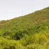 #9543 Quota 1/2 di terreno agricolo di 25.150 mq