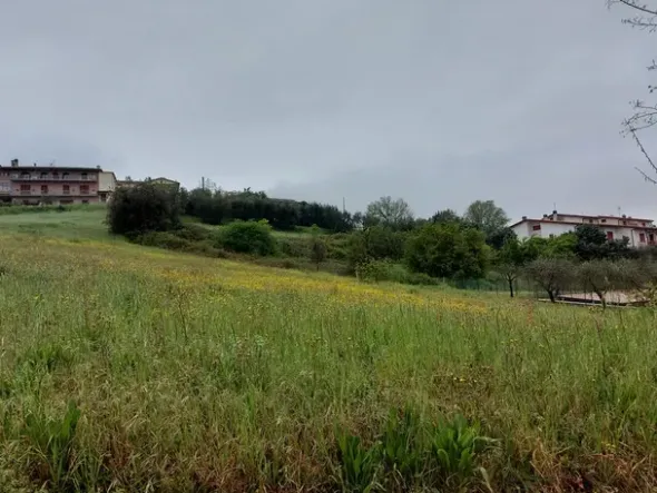 #12890 QUOTA ½ di terreno edificabile residenziale