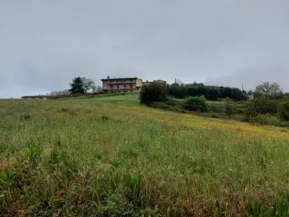 #12890 QUOTA ½ di terreno edificabile residenziale