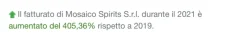 Quota il tuo gin srl.