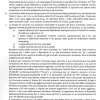 Ramo d'azienda produzione articoli di pelletteria