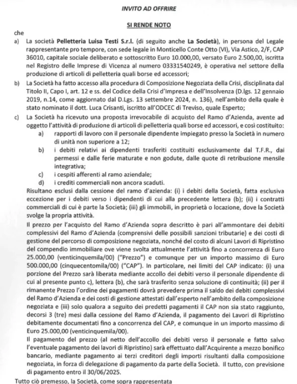 Ramo d'azienda produzione articoli di pelletteria