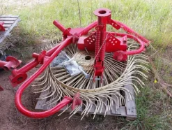 338#8349 Ranghinatore Rossi