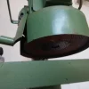 Raspatenoni