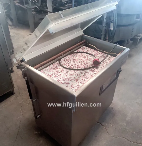 REF-2614 MACCHINA SOTTOVUOTO INELVI CON GAS INERTE