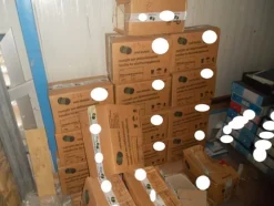 3#5427 Ricambi per celle frigo