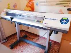 Roland SP 300i in ottime condizioni