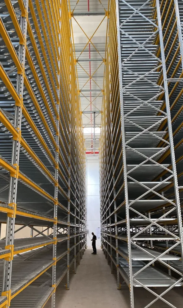Scaffalatura usata