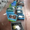 5#73520 Semilavorati per motori DC ed attrezzatura