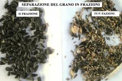 Separatore aerodinamico ASM-15 per la pulizia del grano