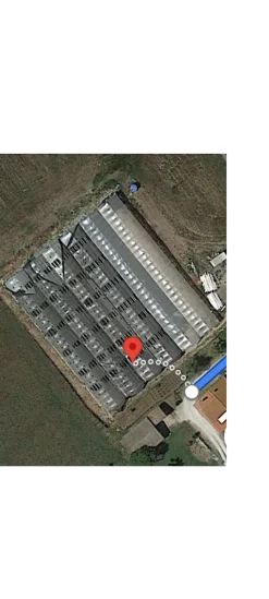Serre