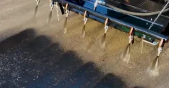 Spruzzatore di emulsione bituminosa