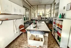#2537245 Stabilimento enologico con beni strumentali