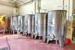 #2537245 Stabilimento enologico con beni strumentali