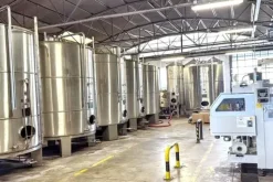 #2537245 Stabilimento enologico con beni strumentali