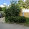 #20832 Stabilimento industriale con corte privata e terreno di proprietà
