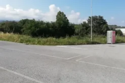 #20832 Stabilimento industriale con corte privata e terreno di proprietà