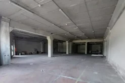 #25774 Stabilimento industriale con area esterna esclusiva