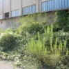 #11192 Stabilimento industriale e terreni edificabili