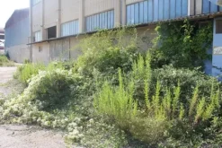 #11192 Stabilimento industriale e terreni edificabili