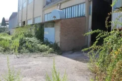 #11192 Stabilimento industriale e terreni edificabili