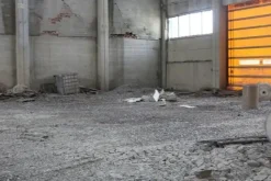 #11192 Stabilimento industriale e terreni edificabili