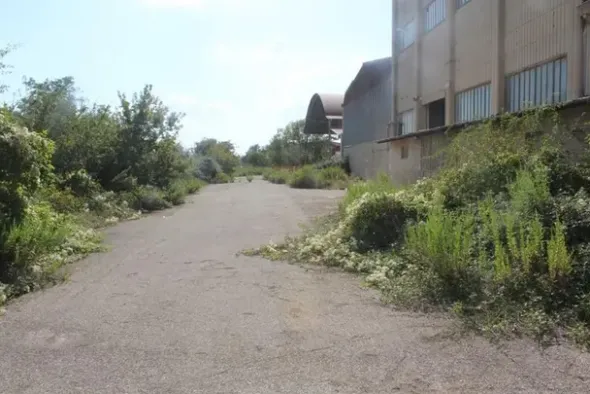 #11192 Stabilimento industriale e terreni edificabili
