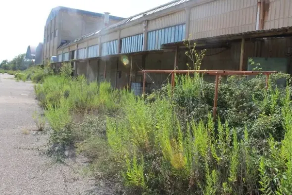 #11192 Stabilimento industriale e terreni edificabili