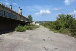 #11192 Stabilimento industriale e terreni edificabili