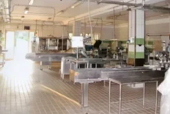 #19933 Stabilimento produttivo con pertinenze e terreno