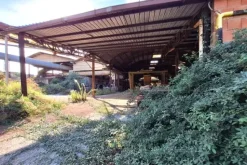 #24602 Stabilimento produttivo con uffici e impianti