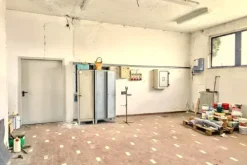 #25331 Stabilimento produttivo con pertinenze