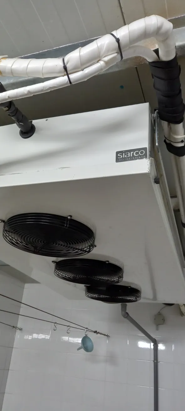 Stagionatore per Salumi motore frigo profesionale