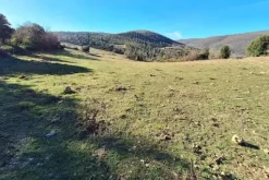 #25239 Stalla con rudere e terreni agricoli sparsi