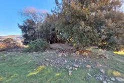 #25239 Stalla con rudere e terreni agricoli sparsi