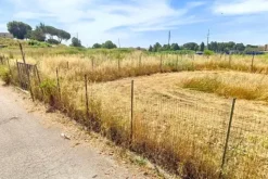 #25687 Striscia di terreno adibita verde pubblico