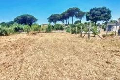 #25687 Striscia di terreno adibita verde pubblico
