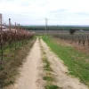 #2639654 Striscia di terreno in contesto agricolo