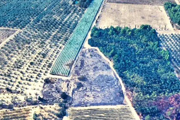 #2639654 Striscia di terreno in contesto agricolo