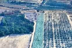 #2639654 Striscia di terreno in contesto agricolo