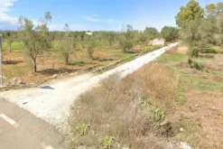 #20878 Striscia di terreno seminativo con uliveto