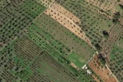 #20878 Striscia di terreno seminativo con uliveto