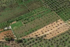 #20878 Striscia di terreno seminativo con uliveto