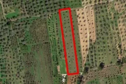 #20878 Striscia di terreno seminativo con uliveto
