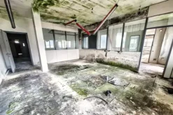 #2515004 Strutture artigianali in comparto industriale