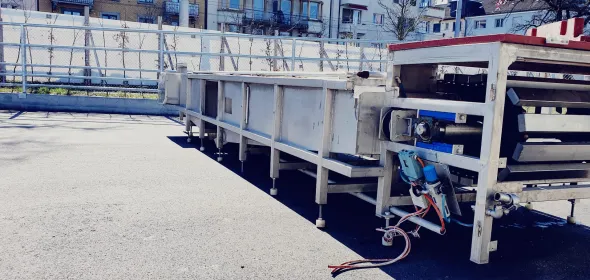 Tavolo trasportatore per suini