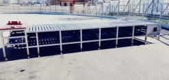 Tavolo trasportatore per suini